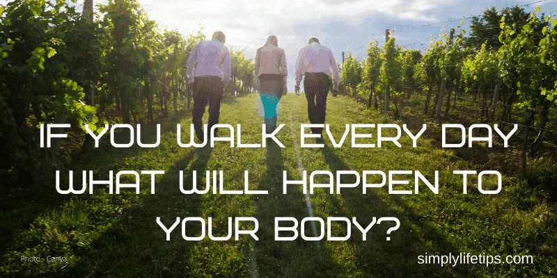 What Will Happen To Your Body If You Walk Every Day?