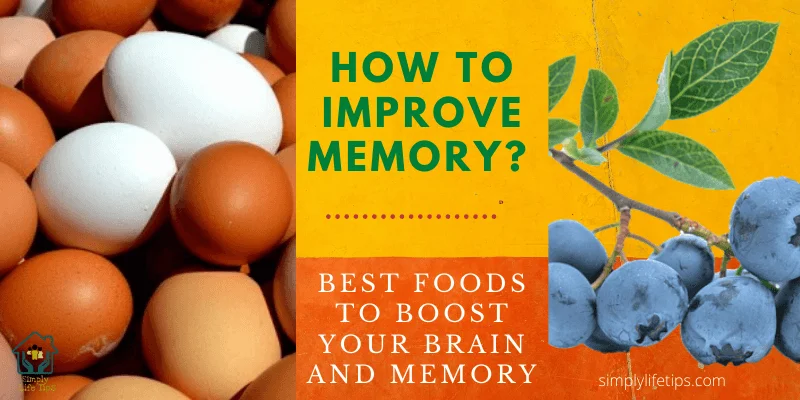 11 Best Foods to Boost Your Brain and Memory