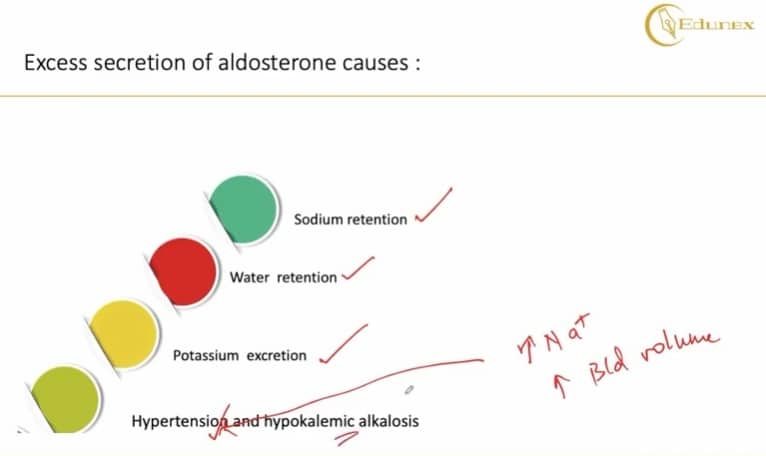 Excess secretion of aldosterone causes