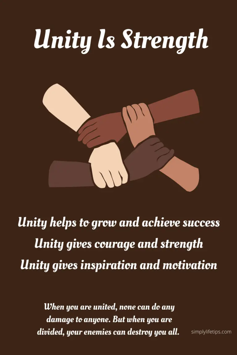 essay unity is strength means