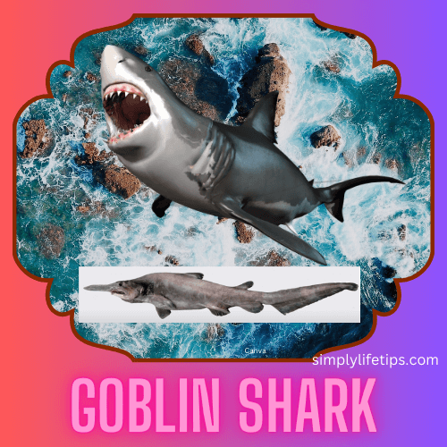 A Guide To Scary And Spooky Animals For Kids Learning 5 Goblin shark