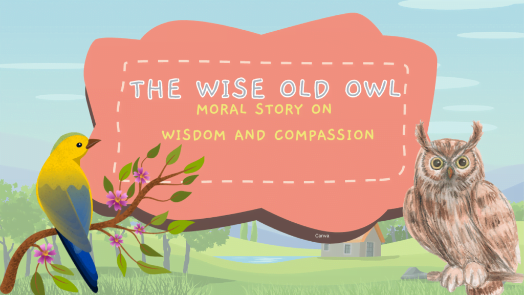 Wise Old Owl Moral Story