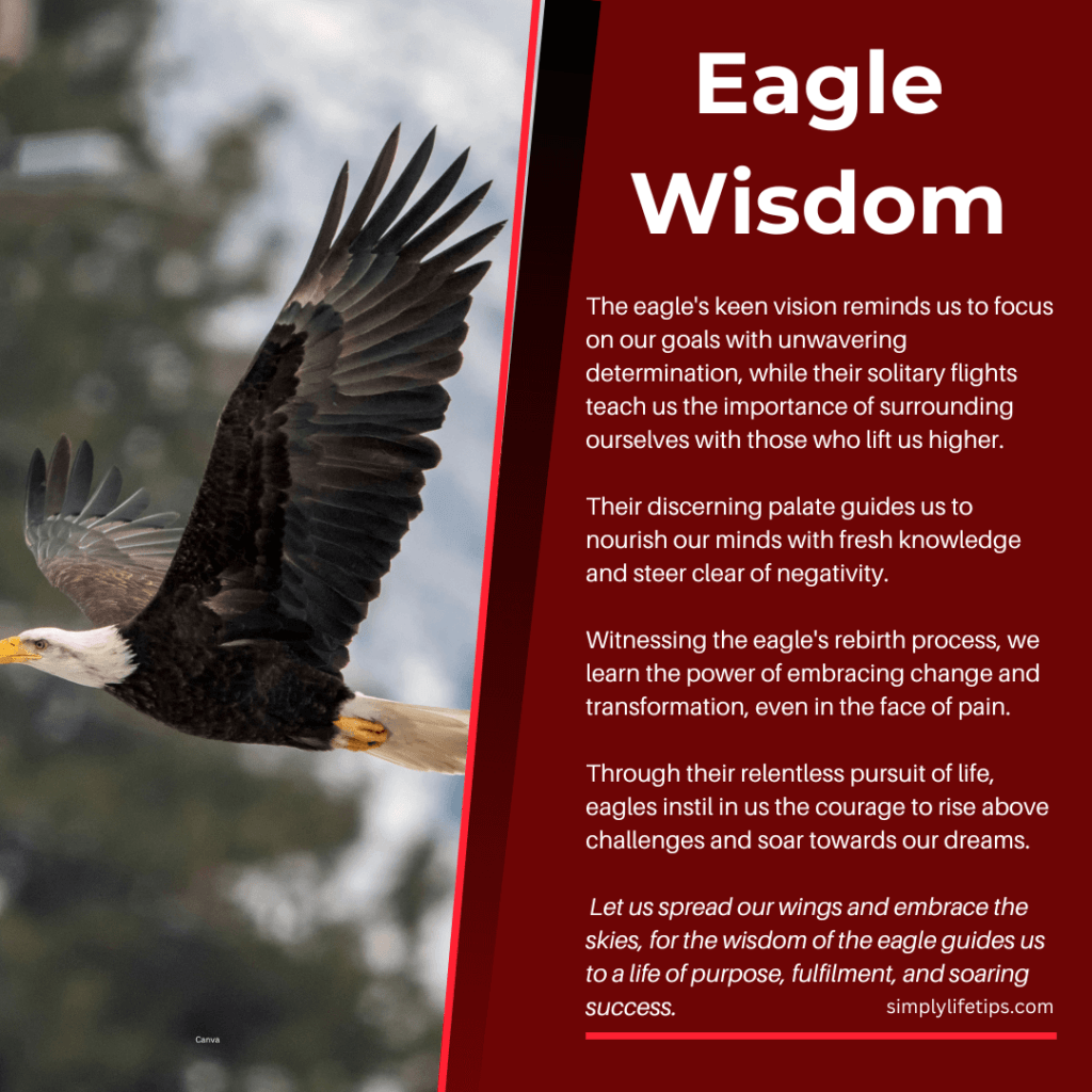 Eagle Wisdom: 7 Powerful Life Lessons From The Eagle