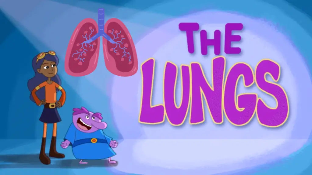 How your lungs work