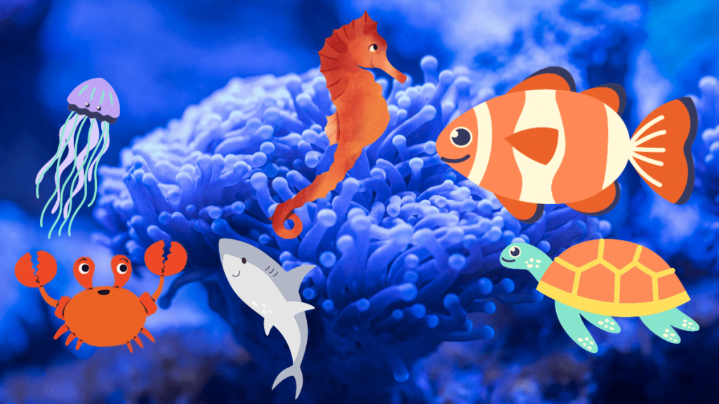 Sea Animal Names And Fun Facts For Kid's Learning