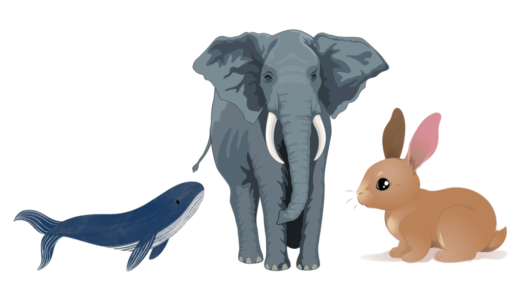 Create Opportunities: Rabbit, Whale And Elephant Moral Story 4 Create Opportunities