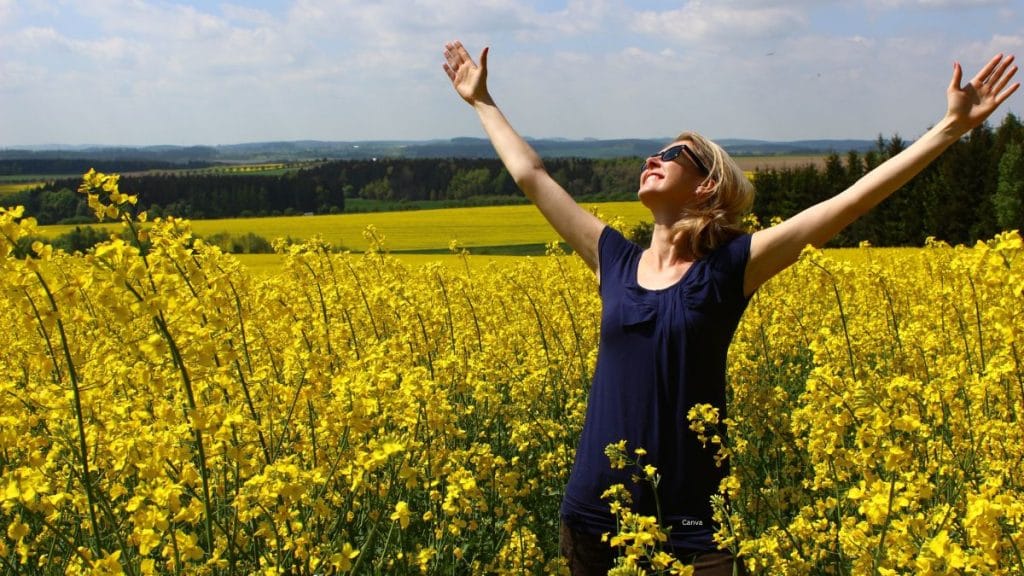 Finding True Happiness: The Balance Beyond Success 8 Finding True Happiness