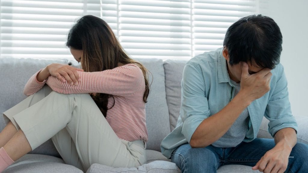 The Complex Dynamics Of Family Relationships And Solutions 1 Dynamics Of Family Relationships