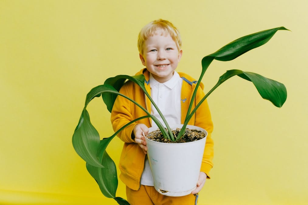 Building Independence In Children: Keys To A Bright Future 1 Independence In Children