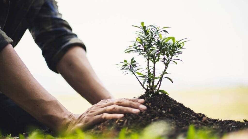 Personal Growth Tips