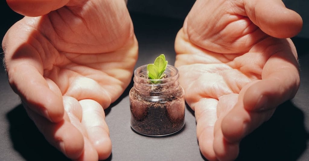 The Power Of Small Beginnings: Why Every Great Change Starts Tiny 2 Small beginnings
