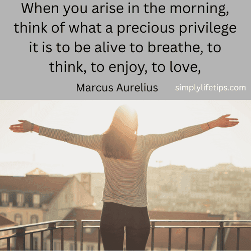 Marcus Aurelius Morning Quote Life is a gift
