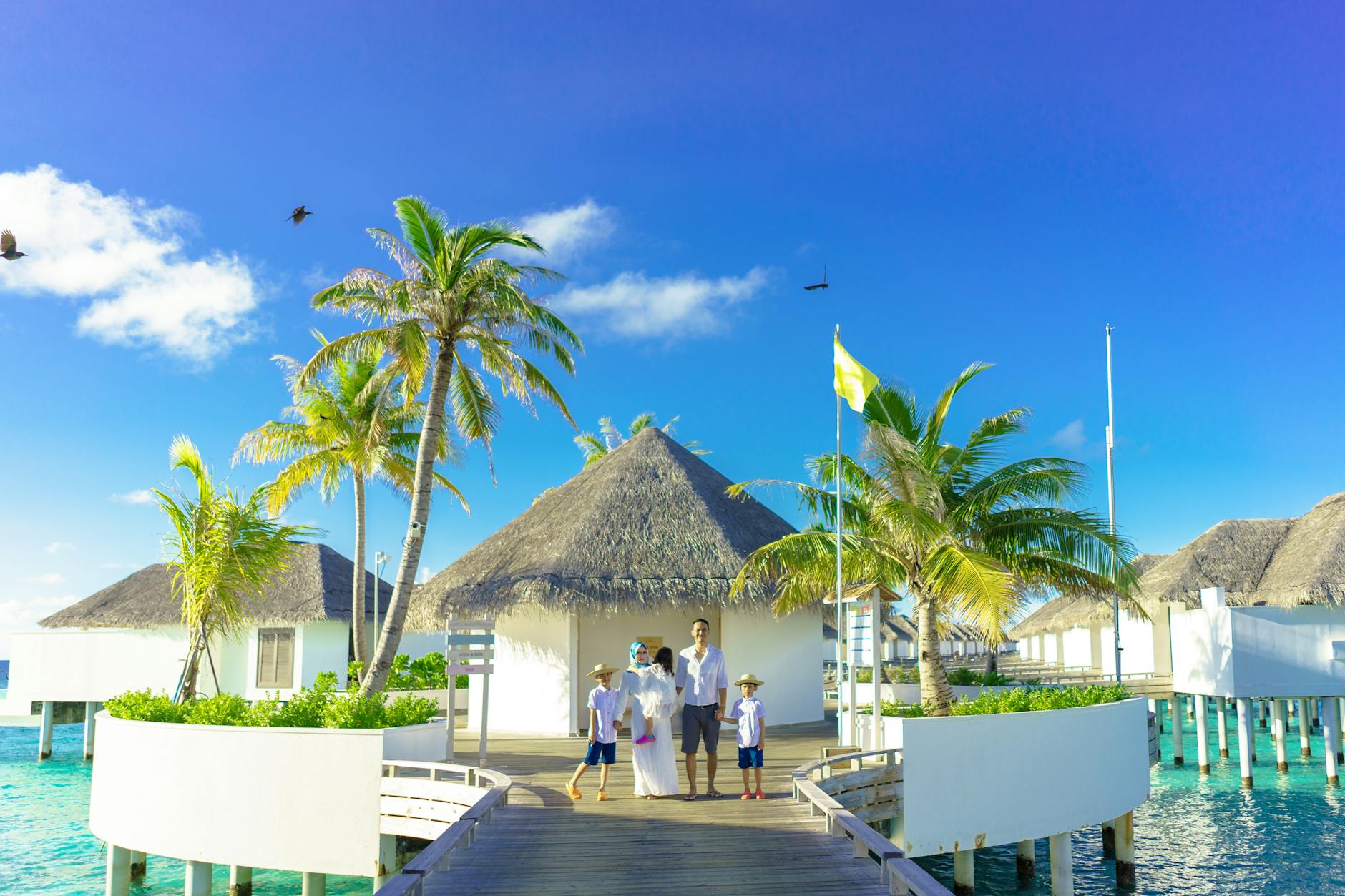 Stress-Free Family Vacation Tips: How to Plan, Enjoy, and Make Every Trip Memorable 3 green palm trees and white gazebo