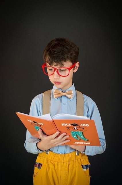 boy, student, book, read, study, lesson, schoolboy, kid, child, young, glasses, reading, intellectual, portrait, student, intellectual, intellectual, intellectual, intellectual, intellectual