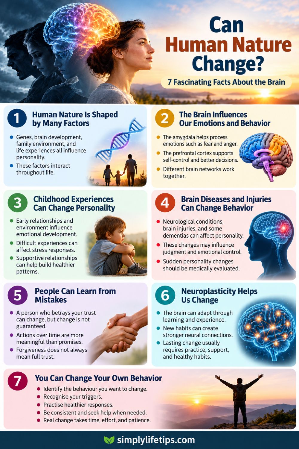 Can Human Nature Change? 7 Fascinating Facts About the Brain 3 Can human nature change? Infographic explaining personality, emotions, neuroplasticity, and behavior.